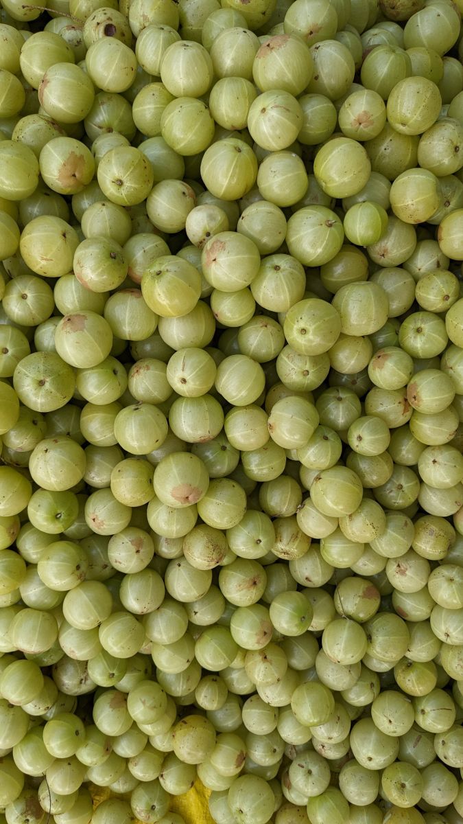 Natural Beauty Ingredient Amla