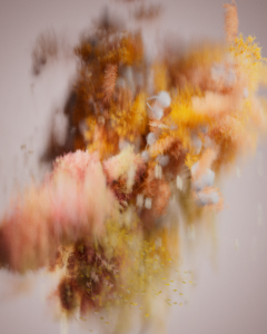 Nahmias Reiseinger Collaboration