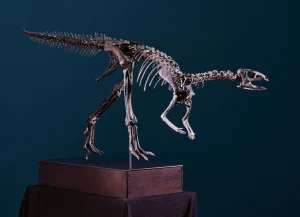 Artemis dinosaur fossil Koller Auction