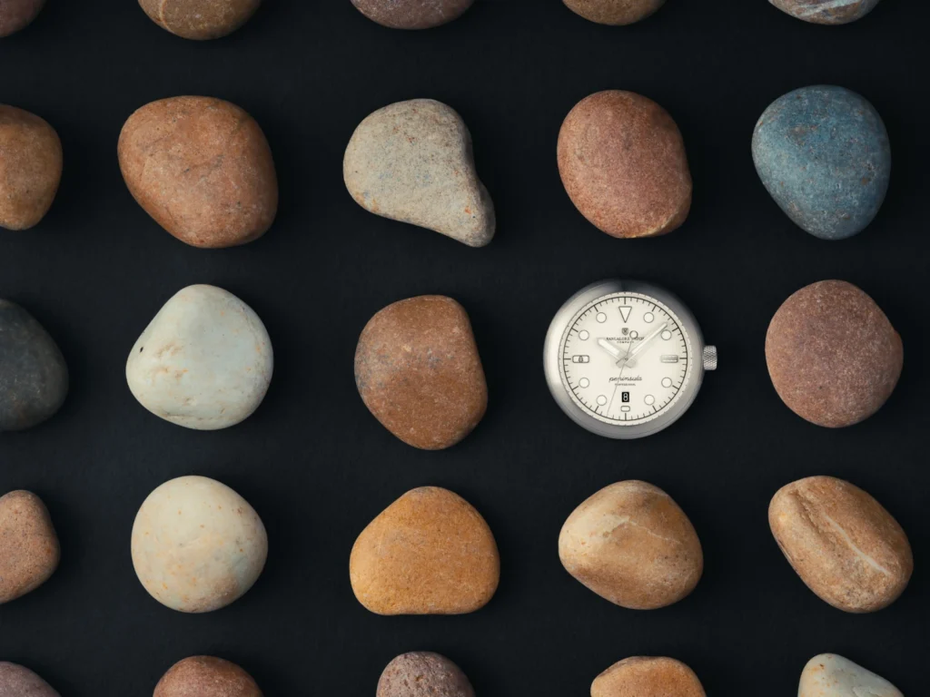 Bangalore Watch Company