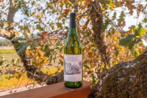 Chateau Montelena Chardonnay