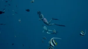 Fari Islands Festival Maldives