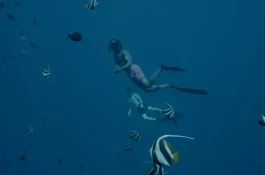 Fari Islands Festival Maldives