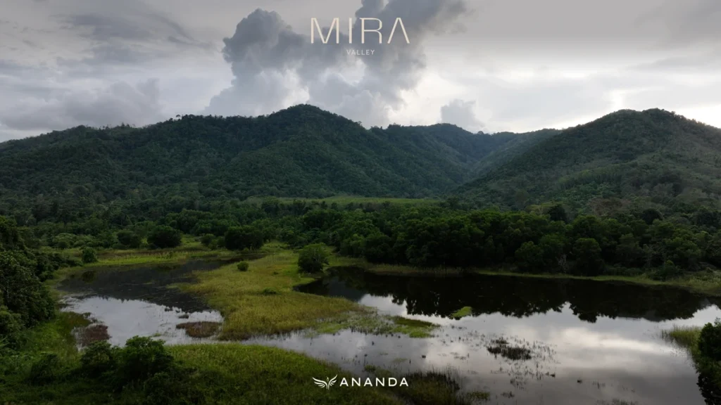 Mira Valley homes by Ananda Development