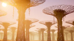 MUDAC SOLEILS Exhibition Alice Bucknell Staring at the Sun