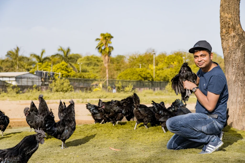 Kadaknath Chicken farm