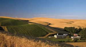 Spring Valley Vineyards Washington