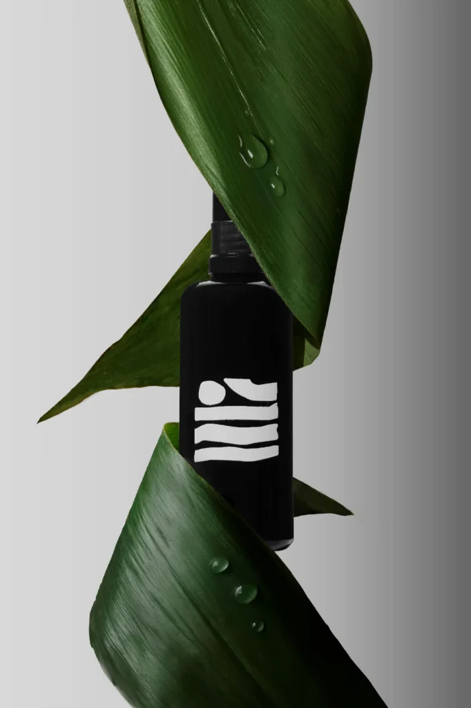 The Beauty Sandwich mist