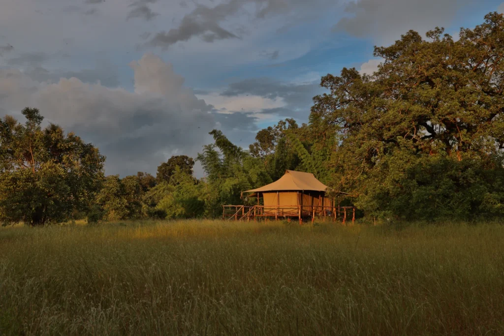 TUTC Untamed Bandhavgarh