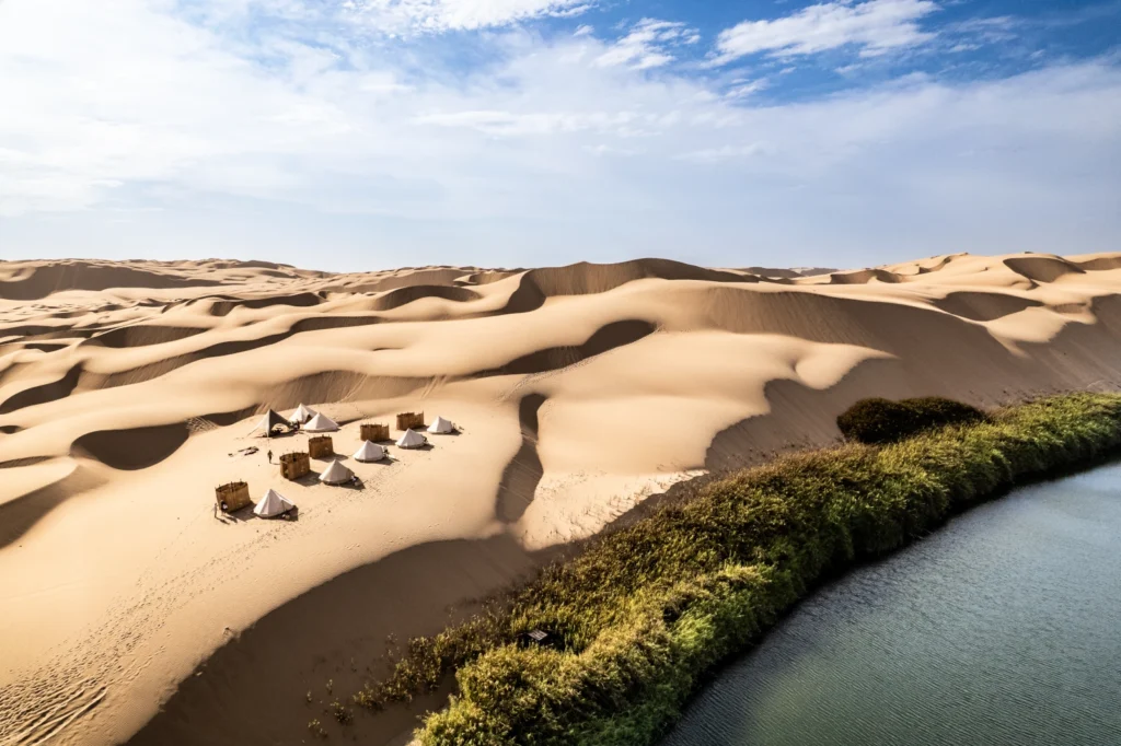 White Desert Dr. Jones trips