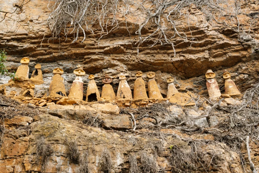 White Desert Dr. Jones trips