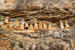 White Desert Dr. Jones trips