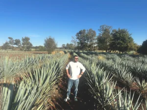 FINO tequila Yuvraj Singh