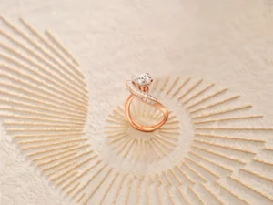 Zoya Reborn solitaire collection